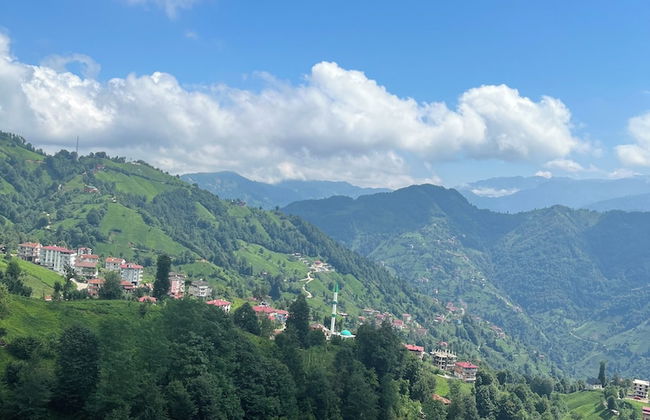 Poyraz Dağ Evleri - Foto 22