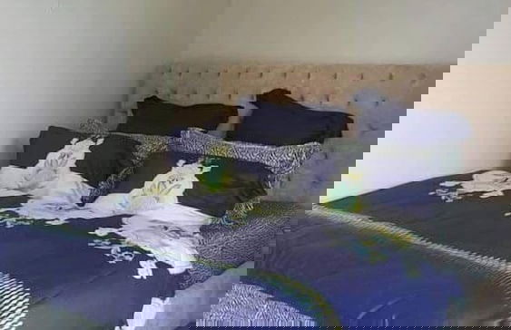 Bhurban Continental Apartments - Photo 8