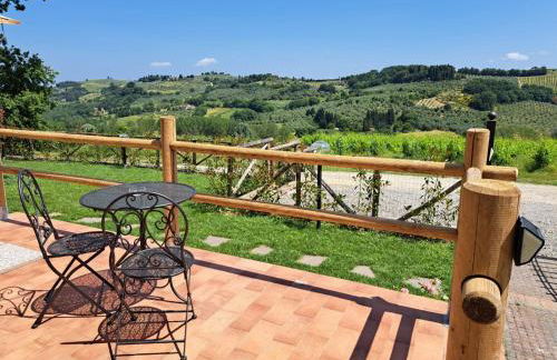 I Vigneti del Chianti - Foto 44