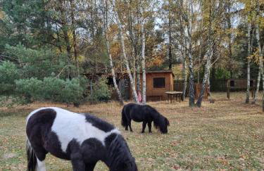 Zacisze Jurajskie - Foto 58