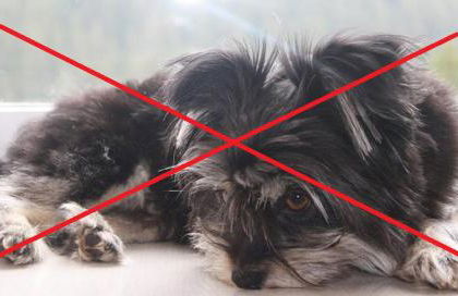 Ferienwohnungen im Landstreicherhaus - Foto 14