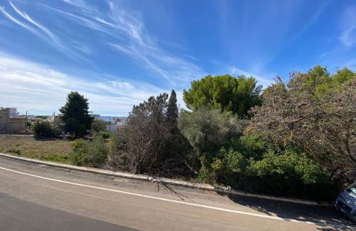 Relax alle Conchiglie - Foto 16