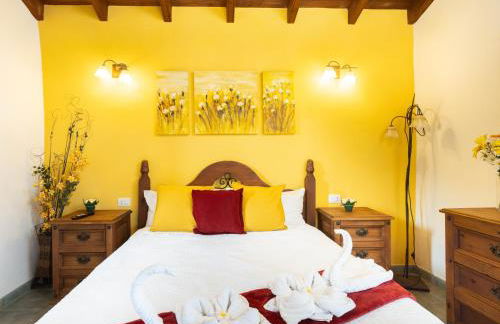 Live masca casatarucho - Foto 34