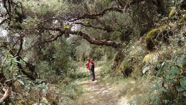 Huascaran National Park Day Trip - Foto 4