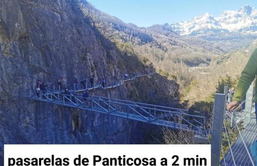 Los Cachorros - Foto 44