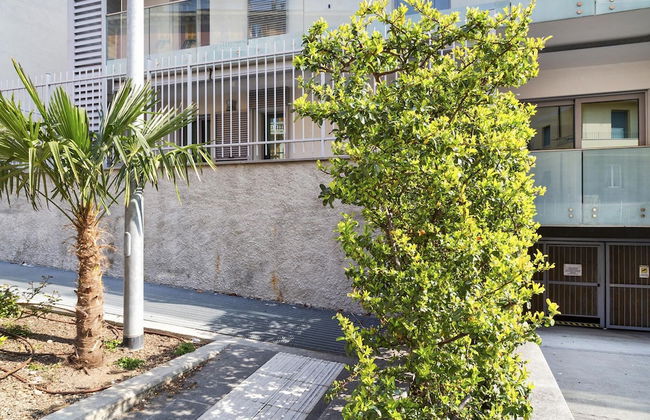 Viviboccadasse by Wonderful Italy - Primula - Foto 23