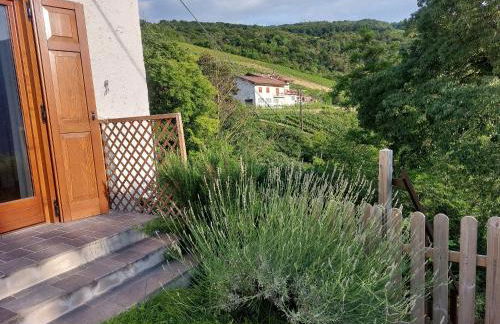 cottage lavanda e rosmarino - Foto 30