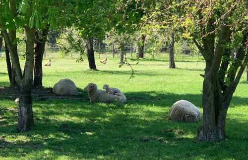 Landhaus Brigitte - Foto 15