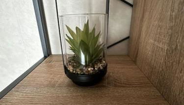 Superbe Maison familiale - Photo 5