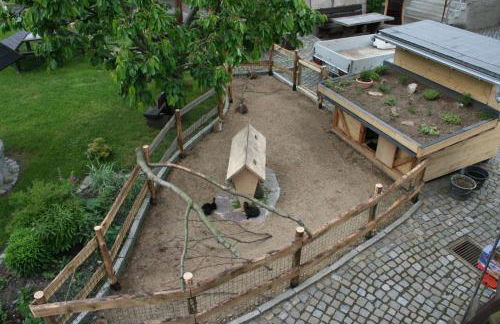 Ferienwohnung Nicklich - Photo 19