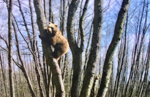 Villa Sonntag - Foto 22