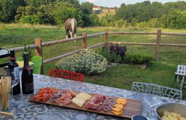 Les Crins au Bord du Lac - Foto 17