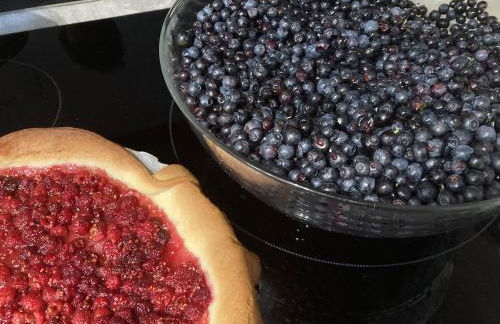 la grange T2 Centre Ville Jardin WIFI - Foto 20