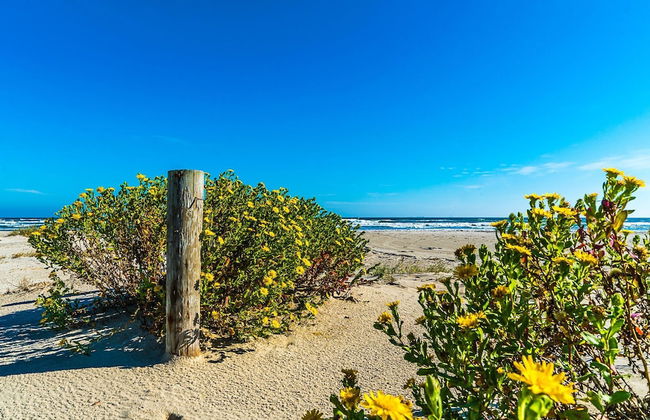 Great Location Go Beyond the Blue - Foto 62