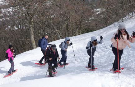 Casa della Nonna - Foto 53