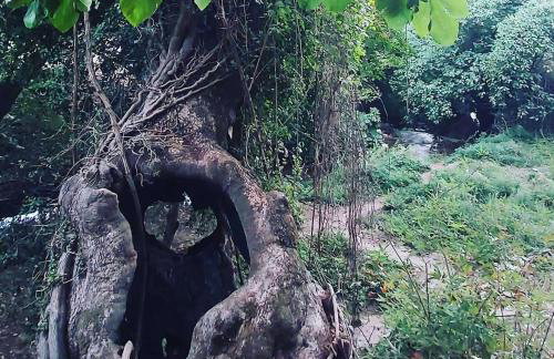 Maria Tsomou - Foto 13