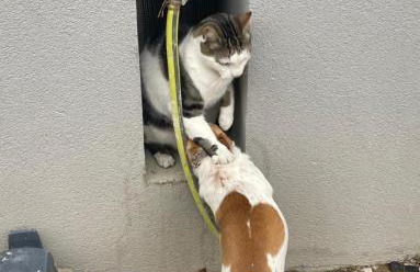 Appartement proche centre Colmar parking public gratuit - Foto 28