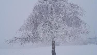 Ferienhaus Harzer Bauernhof - Foto 3