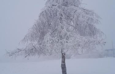 Ferienhaus Harzer Bauernhof - Foto 3