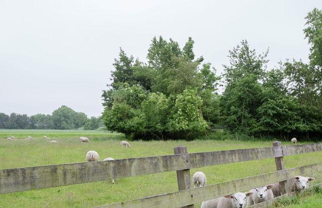Waterfront Stelp Farmhouse With Sauna - Foto 8