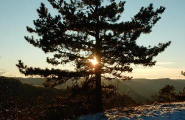 Haus Kellenburg - Foto 45
