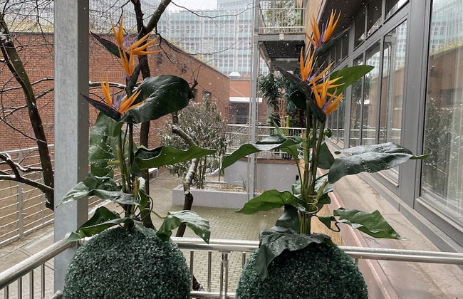 High Level Apartments - Foto 44