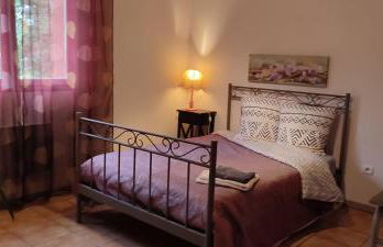 Maison Datcha avec jardin et piscine privée - Foto 8