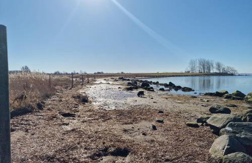 Haus-Fehmarn-am-Dorfteich-|-Wohnung-3-Nord - Foto 55