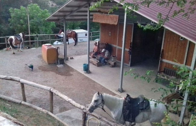 Agriturismo Piccola Raieda - Photo 39