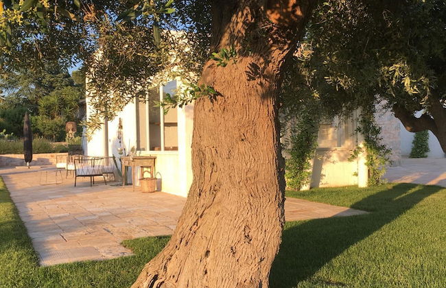 Trulli Lamascrasciola - Foto 61