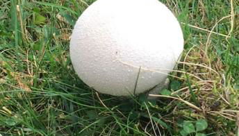 Appart très ensoleillé 5-6 pers au pied des pistes - Foto 5