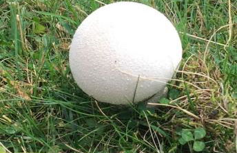 Appart très ensoleillé 5-6 pers au pied des pistes - Foto 5