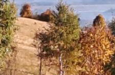 DOMKI W CHMURACH - Foto 34