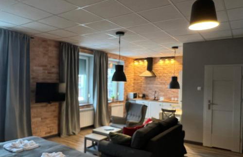 Apartamenty Skierniewice Mireckiego - Foto 7