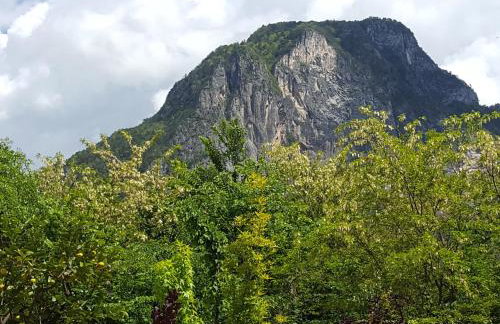 Masetto Egidio Eco-Agritur - Foto 14