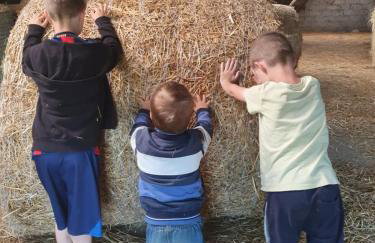 Agroturystyka Nowe Polaszki 10 - Foto 5