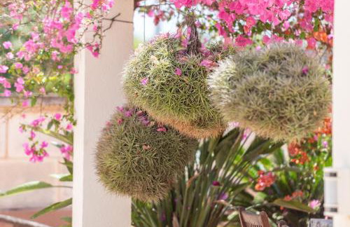 Cas Moliner - Photo 22