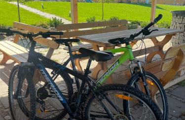 JAFERÓWKA Domki w górach SAUNA JACUZZI - Foto 56