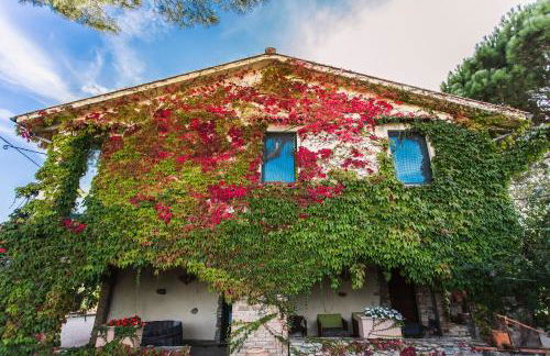 Agriturismo Pieve del Castello - Foto 43