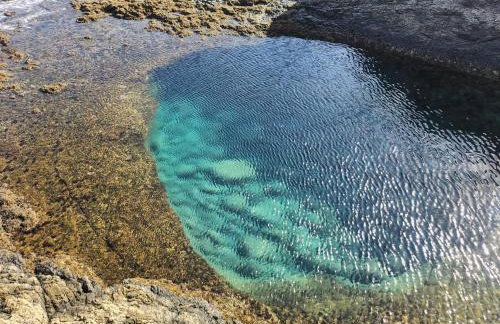 Oro de la Bahia - Foto 33