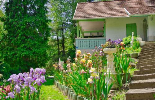 Casa "Dolina Kraljevac" - Foto 54