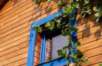 Przystanek Wieś - Foto 19