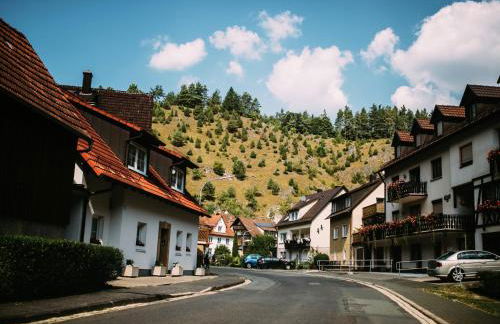 Luring Apartment in Plankenstein near Forest - Foto 74