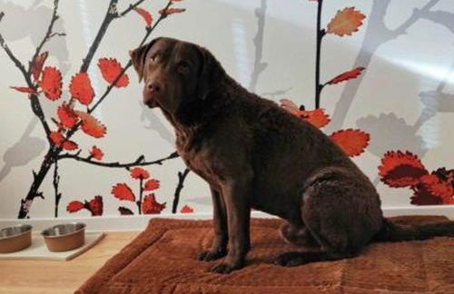 ArtRoom Boarding Apartment - Foto 45