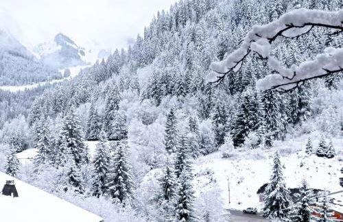 Appartement rénové proche centre ville navette 6-8 personnes multipass - Photo 16