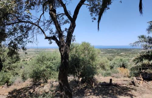 Villa del Palmeto - Foto 31