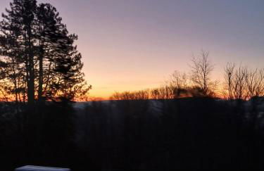 Waldzauber Appartement Dtv geprüft - Foto 52