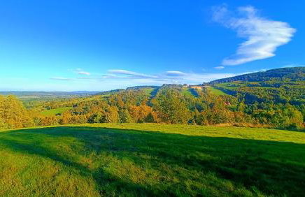 Apartament Sadyba - Foto 27