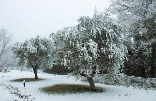 Fattoria San Paolo Agriturismo - Foto 7