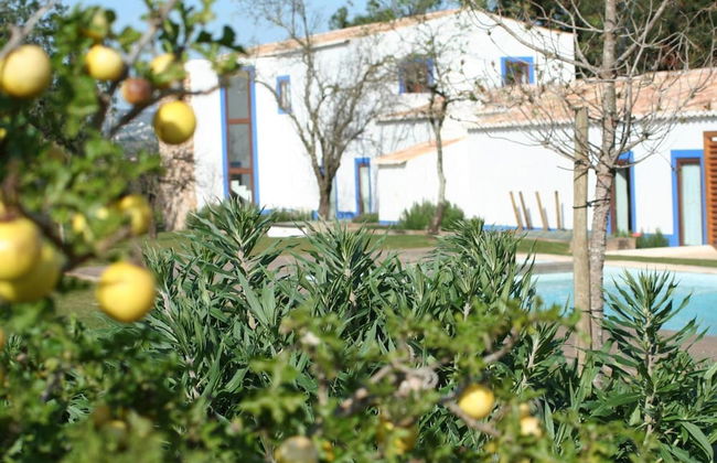 Quinta do Mel - Foto 51